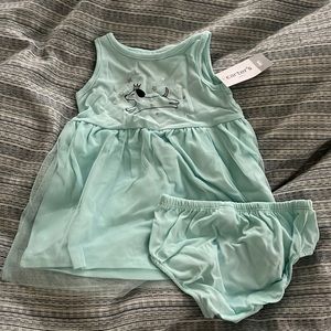 Carter’s dog with crown dress and bottoms